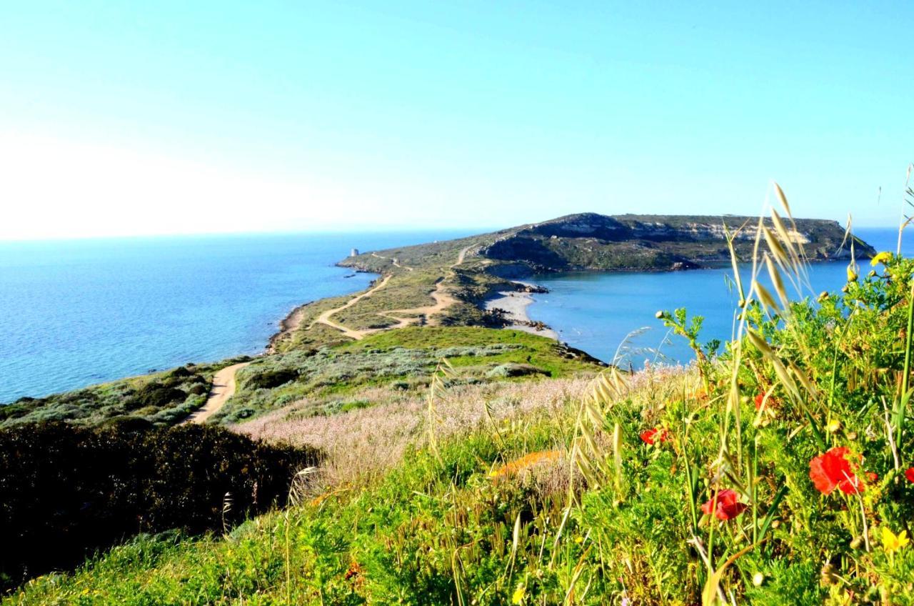 San Salvatore  Agriturismo S'Incant'E Sinis מראה חיצוני תמונה