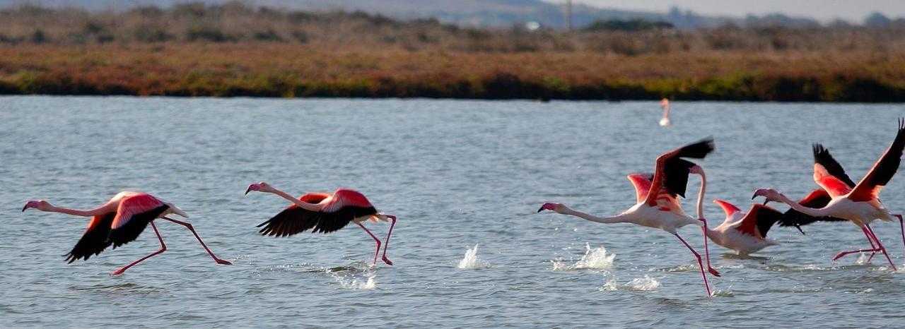 San Salvatore  Agriturismo S'Incant'E Sinis מראה חיצוני תמונה